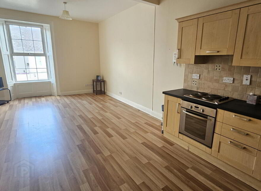 Main Street, Carrick-On-Shannon, N41X310