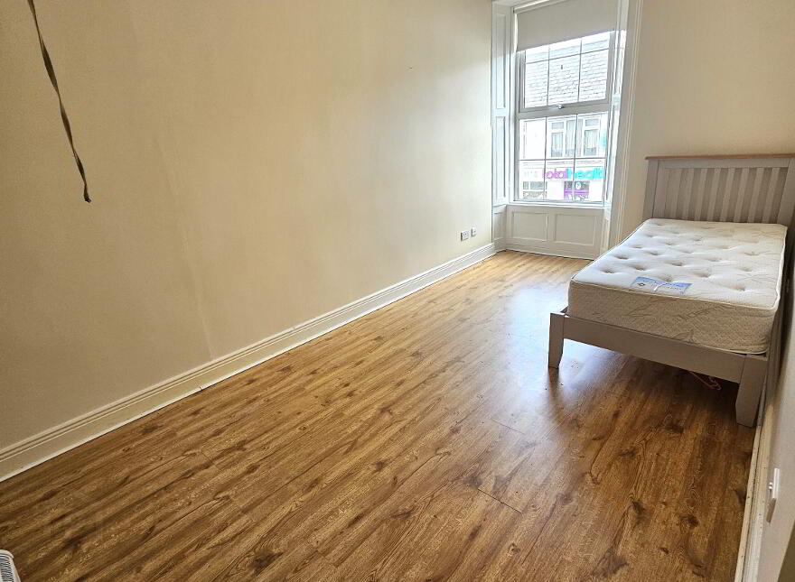 Main Street, Carrick-On-Shannon, N41X310