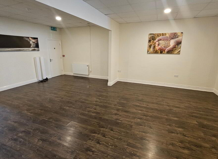 Main Street, Carrick-On-Shannon, N41X310