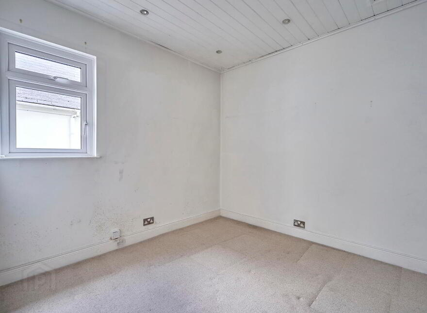 44 Seacliff Road, Bangor, BT20 5EZ