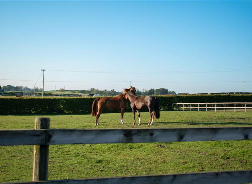 'Towerview', 20 Bailie Road, Cottown, Bangor, BT19 7QW