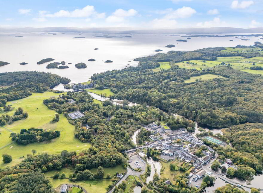Ashford Pines, Cong