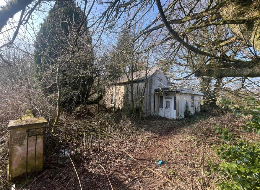 Hiskinstown, Delvin photo