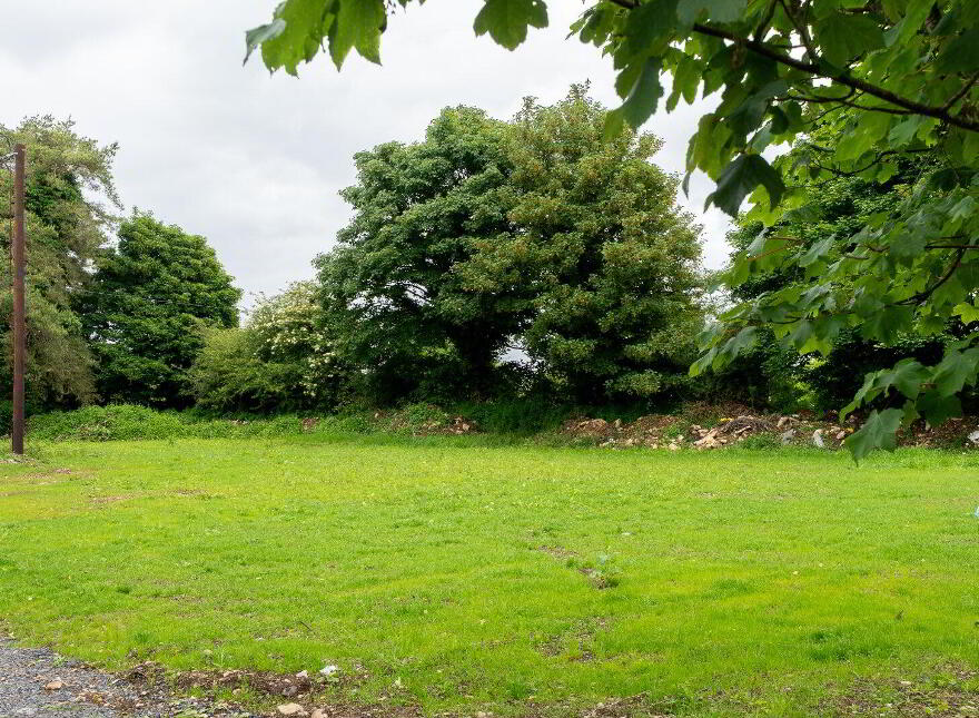 Esker, Ballinalee, Longford, N39T6T0