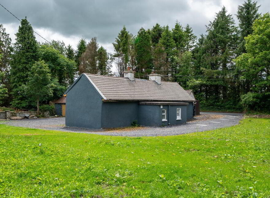 Esker, Ballinalee, Longford, N39T6T0