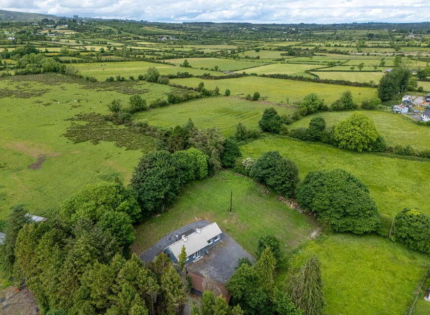 Esker, Ballinalee, Longford, N39T6T0