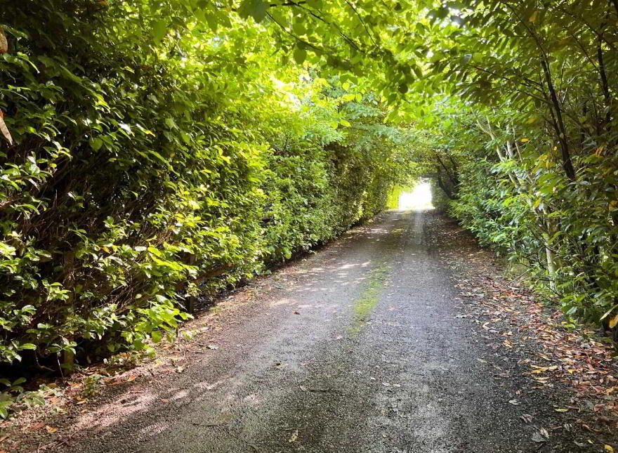 Mullaunbrack, Thurles, E41F8F8