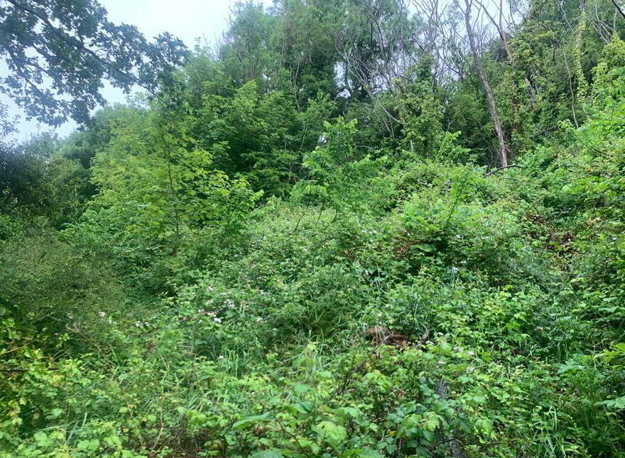 Strawberry Lodge, Strawberry Beds, Dublin, D20X650