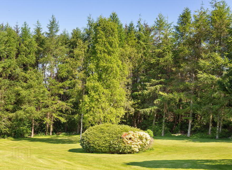 Chatsworth Lodge (with, C 10 Acres), Ballyarthur, Woodenbridge, Y14NC83