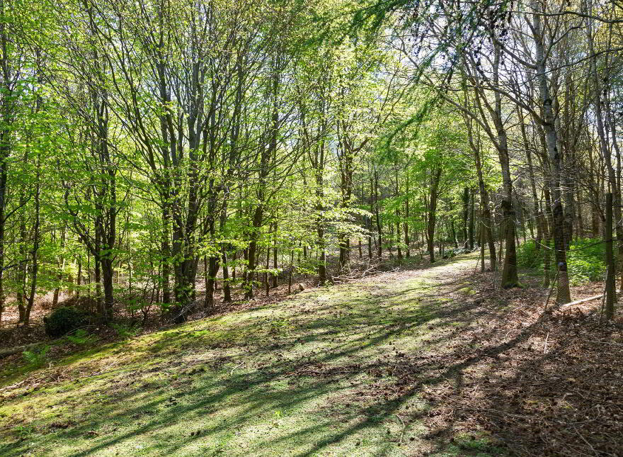 Chatsworth Lodge (with, C 10 Acres), Ballyarthur, Woodenbridge, Y14NC83
