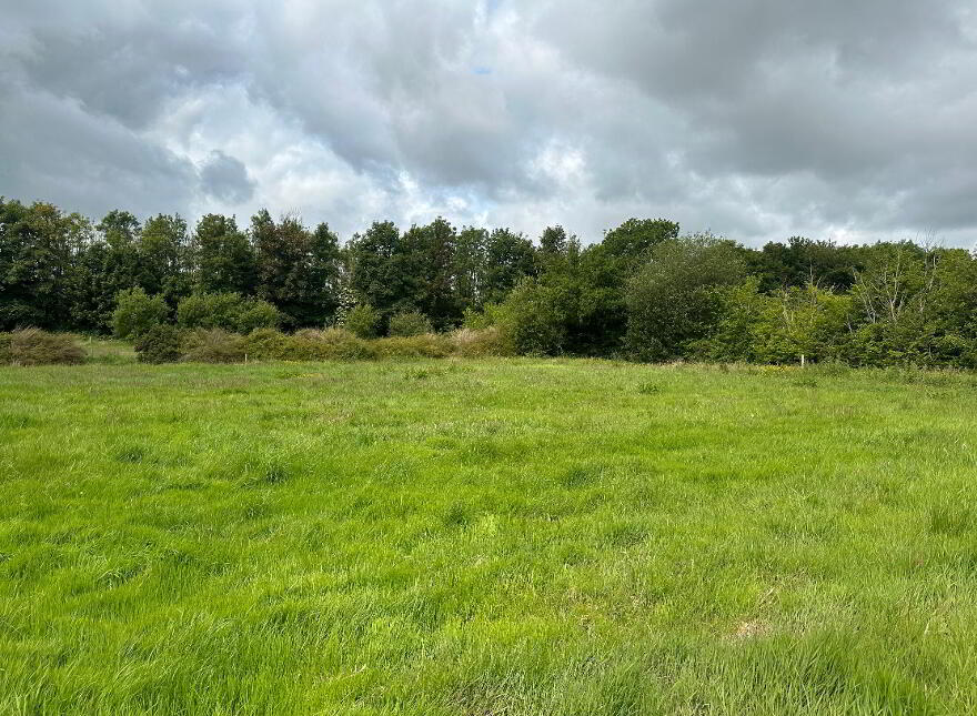 Twin Oaks, Kilbreedy, Killenaule, E41X368