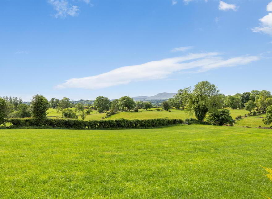 76a Magheraknock Road, Ballynahinch, BT24 8TJ