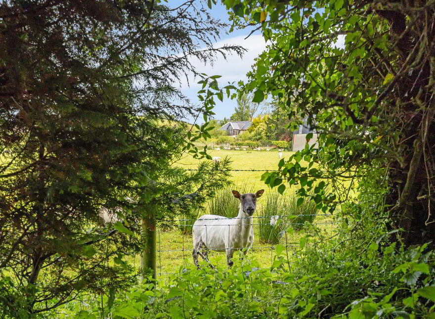 76a Magheraknock Road, Ballynahinch, BT24 8TJ