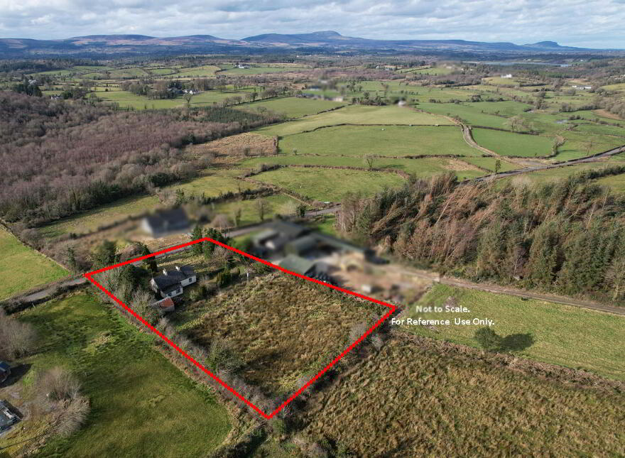Boley, Bawnboy, N41NY57