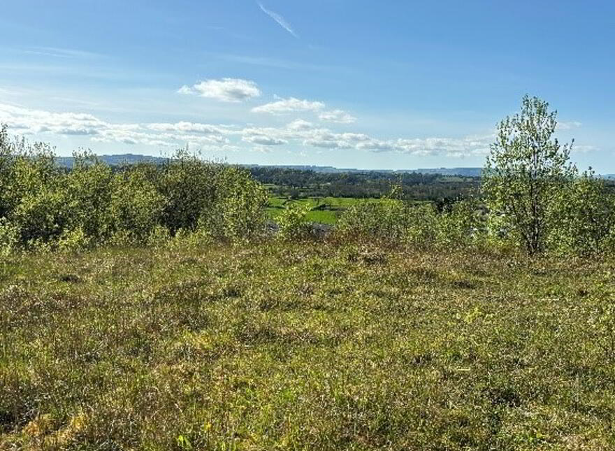 Carrowdotia, Barefield
