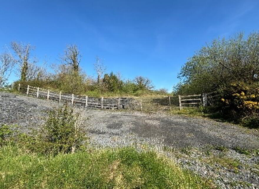 Carrowdotia, Barefield