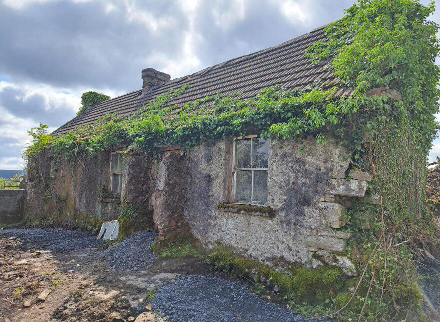 Tullynascreen, Dromahair photo