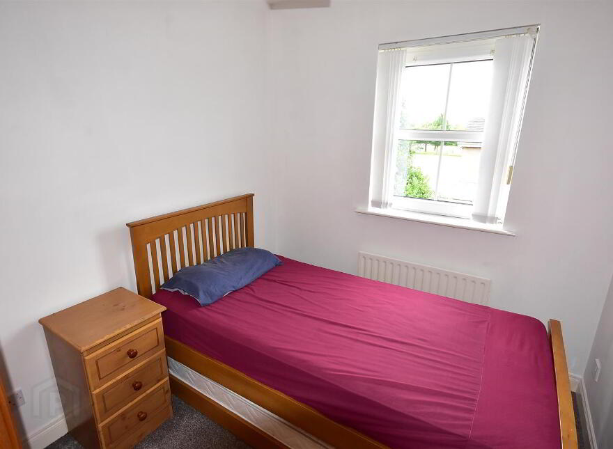 29 Birch Hill Meadows, Antrim, BT41 2TY