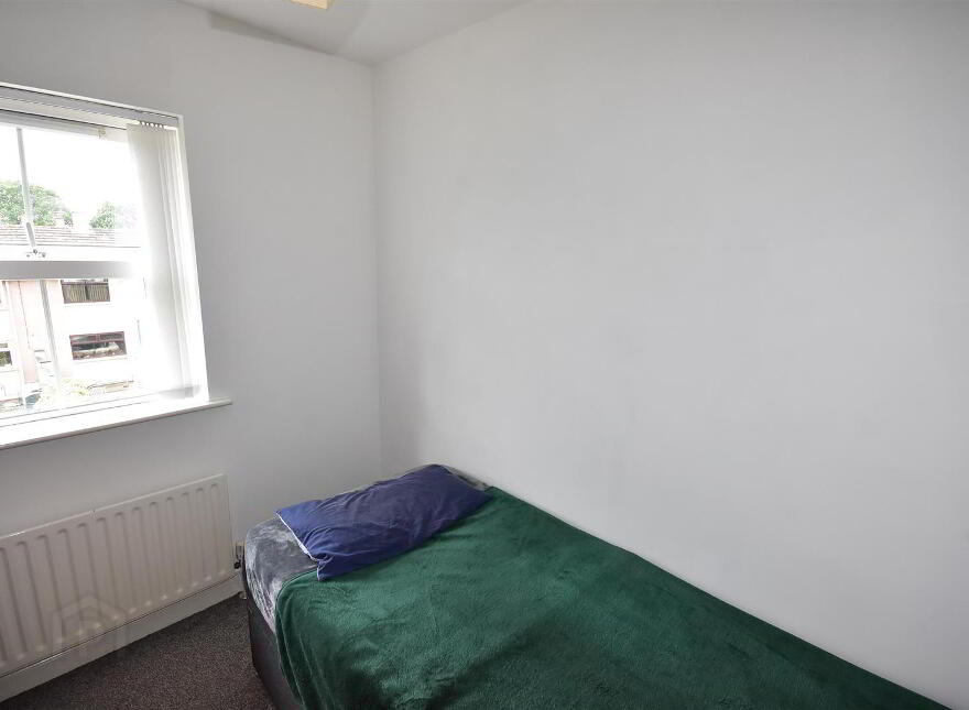 29 Birch Hill Meadows, Antrim, BT41 2TY