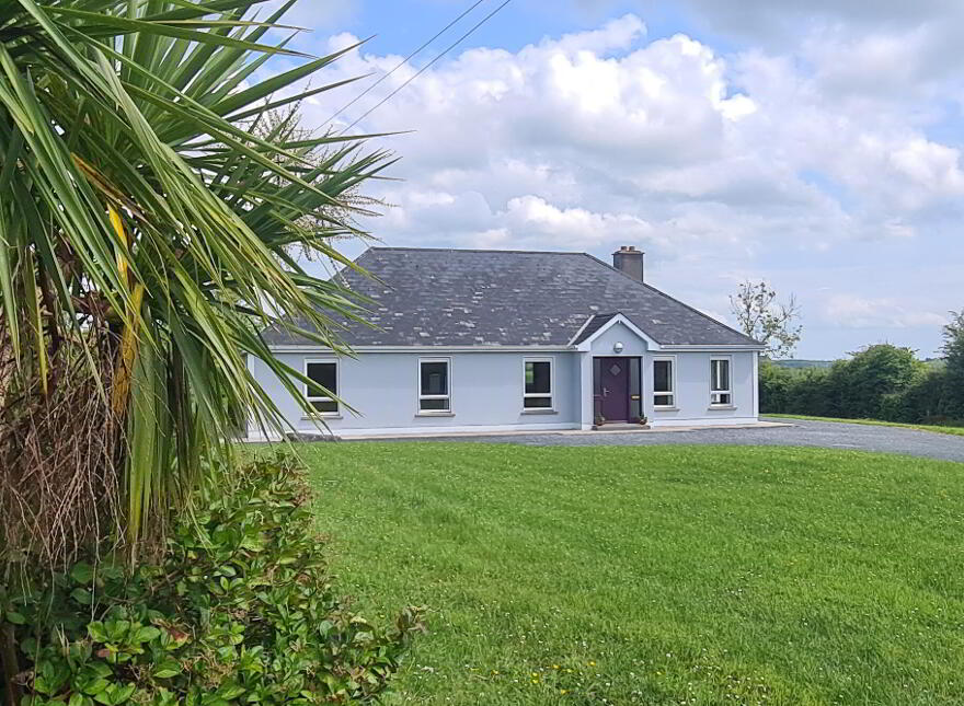 Lisconor, Kilclare, Carrick-On-Shannon, N41FW01 photo