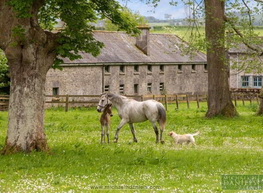 The Fortwilliam, Estate (lot 1), Lismore, P51YDX4