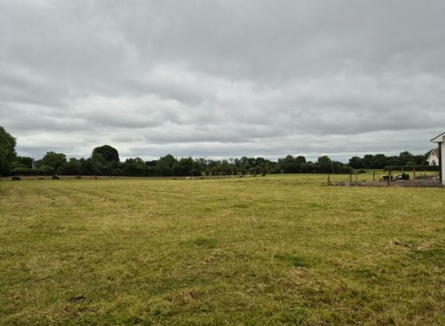 Tullowland, Tullow