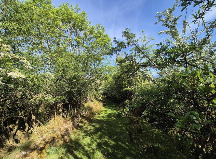 Corlea Cottage, Corlea, Blacklion