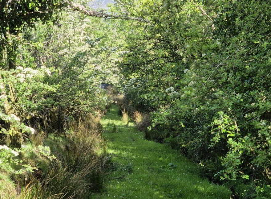 Corlea Cottage, Corlea, Blacklion