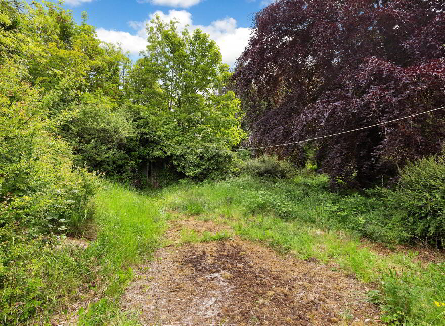 Townley Hall Road, Tullyallen, A92VK58