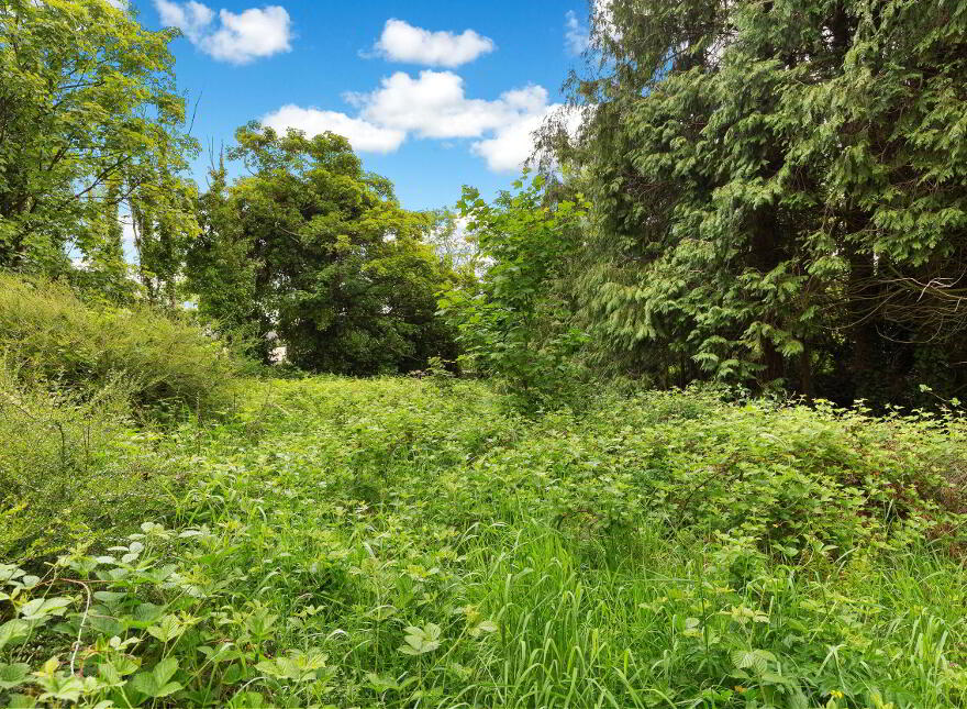 Townley Hall Road, Tullyallen, A92VK58