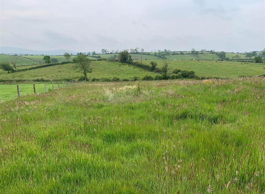 10.67 Acres, Of Agricultural Land, Beside 40 Raffertys Hill...Royal Hillsborough, BT26 6QL photo