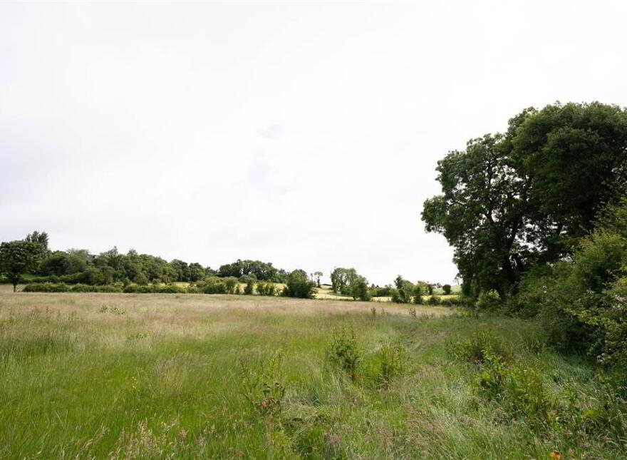10.67 Acres, Of Agricultural Land, Beside 40 Raffertys Hill...Royal Hillsborough, BT26 6QL