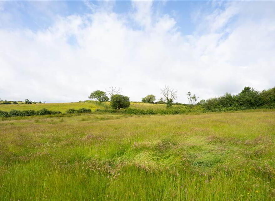 10.67 Acres, Of Agricultural Land, Beside 40 Raffertys Hill...Royal Hillsborough, BT26 6QL