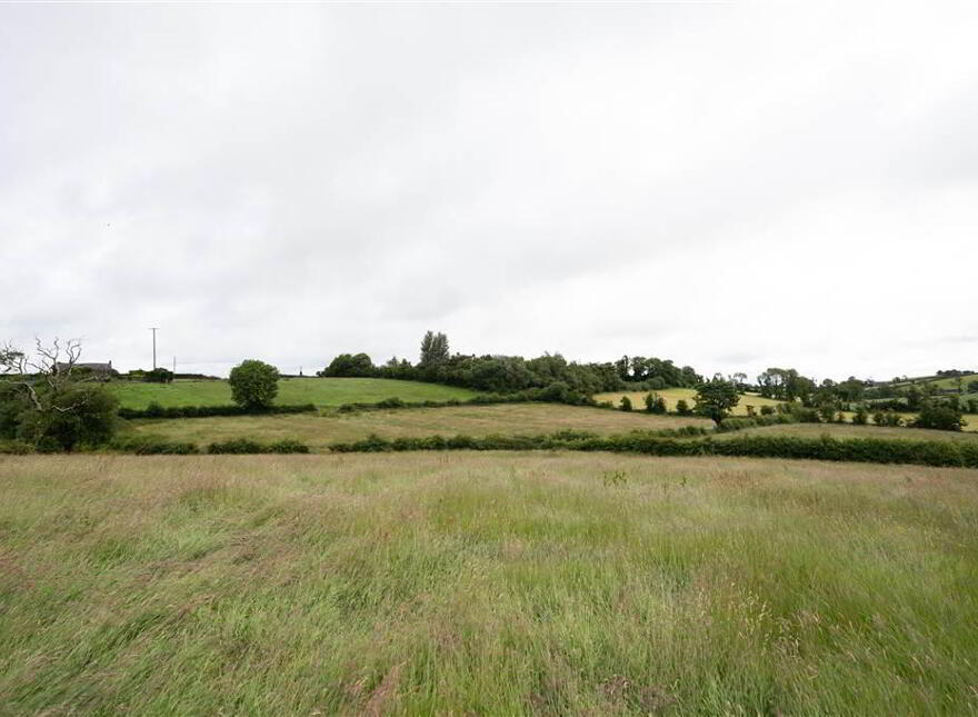 10.67 Acres, Of Agricultural Land, Beside 40 Raffertys Hill...Royal Hillsborough, BT26 6QL