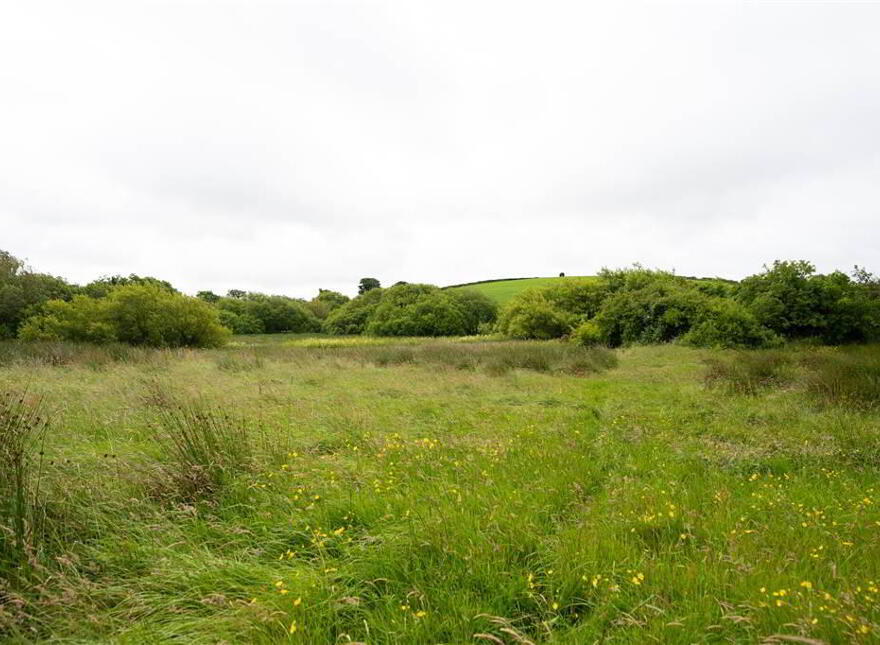 10.67 Acres, Of Agricultural Land, Beside 40 Raffertys Hill...Royal Hillsborough, BT26 6QL