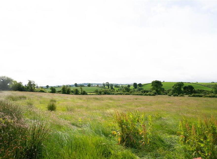 10.67 Acres, Of Agricultural Land, Beside 40 Raffertys Hill...Royal Hillsborough, BT26 6QL