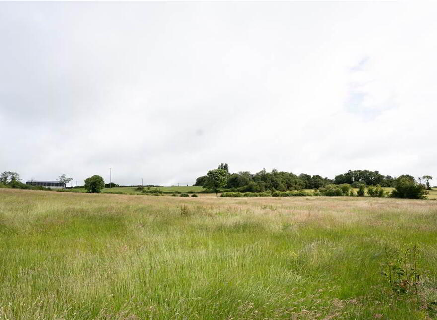10.67 Acres, Of Agricultural Land, Beside 40 Raffertys Hill...Royal Hillsborough, BT26 6QL