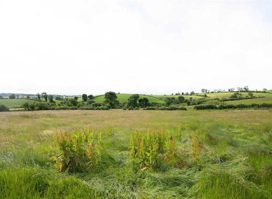 10.67 Acres, Of Agricultural Land, Beside 40 Raffertys Hill...Royal Hillsborough, BT26 6QL