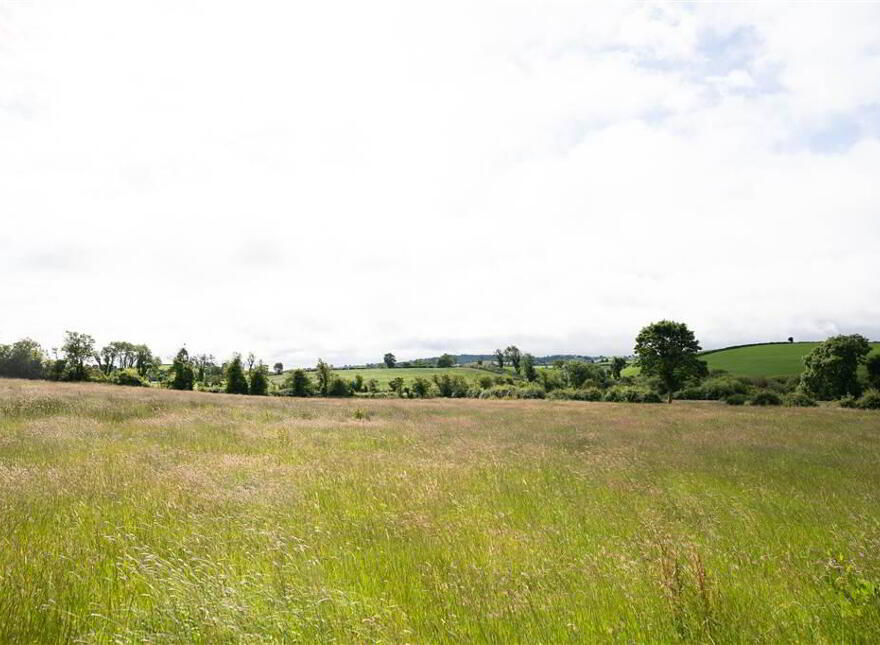 10.67 Acres, Of Agricultural Land, Beside 40 Raffertys Hill...Royal Hillsborough, BT26 6QL