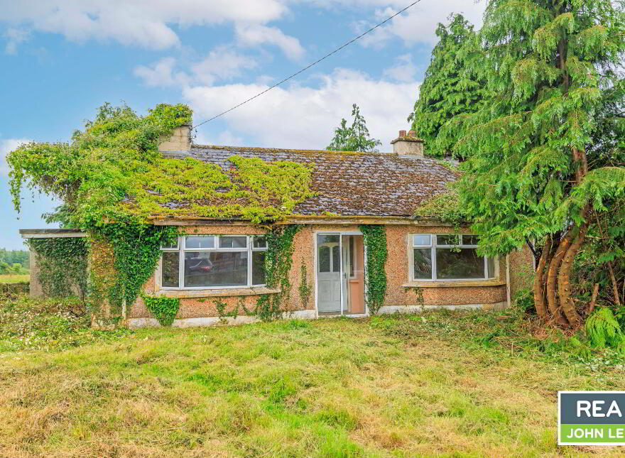 Coolready, Castleconnell, V94P58X photo