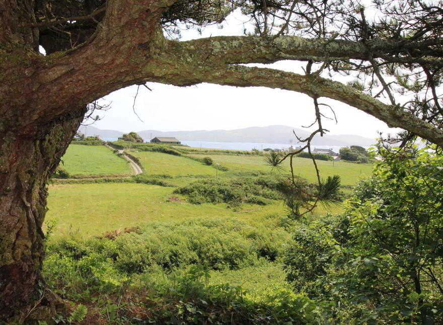 Caher, Kilcrohane, P75Y159
