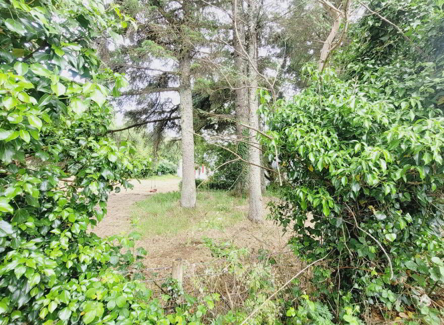 Faerie Nuff Cottage", Caddagh, Glebe, Dromahair, F91X7R0