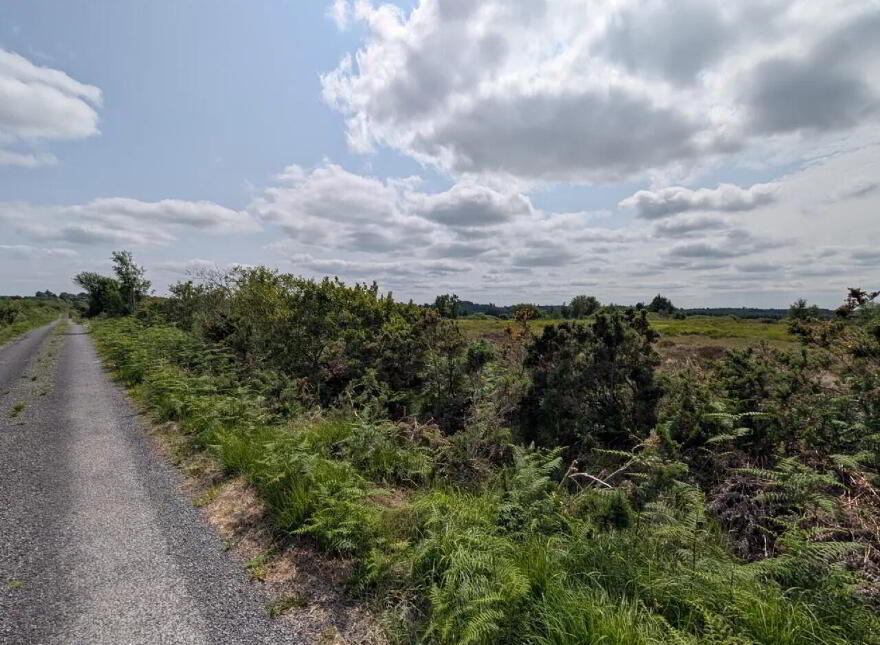 Drumshinnagh, Swinford