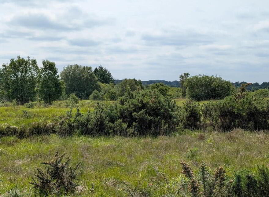 Drumshinnagh, Swinford