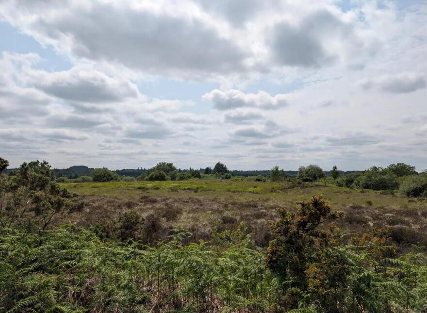 Drumshinnagh, Swinford