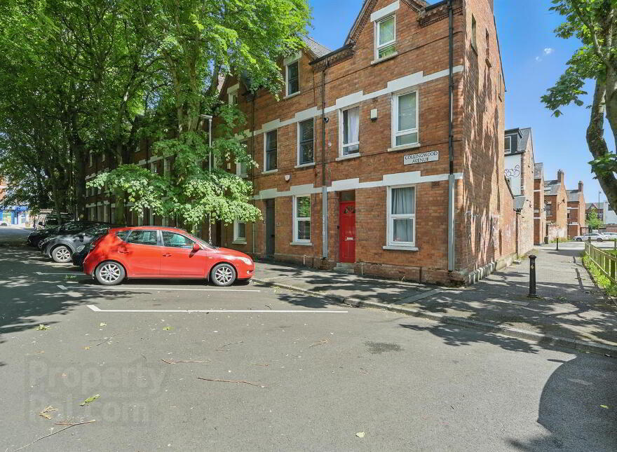 18 Collingwood Avenue, Belfast, BT7 1QT photo
