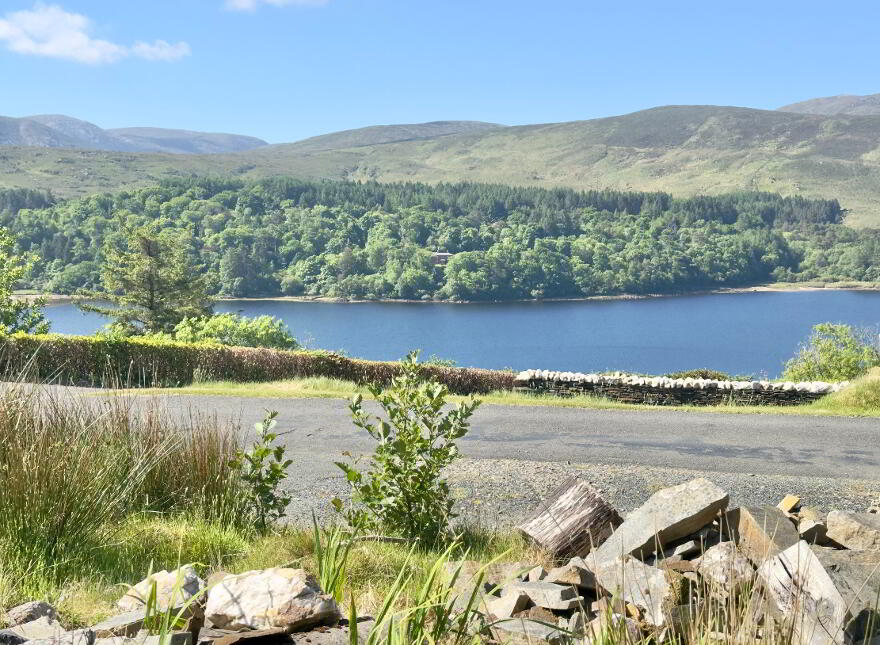 Dl10139f, Moneymore, Dunlewey