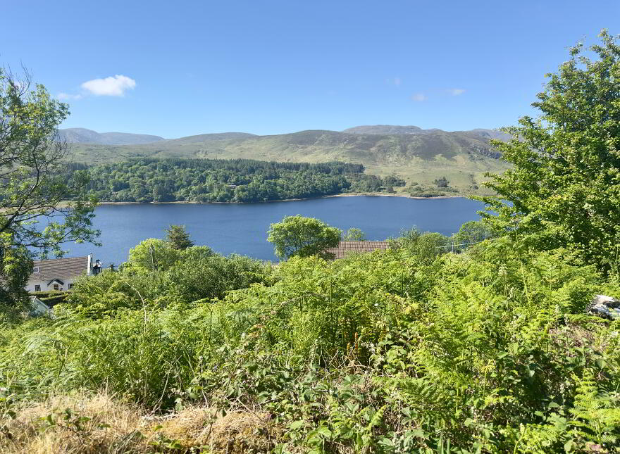 Dl10139f, Moneymore, Dunlewey