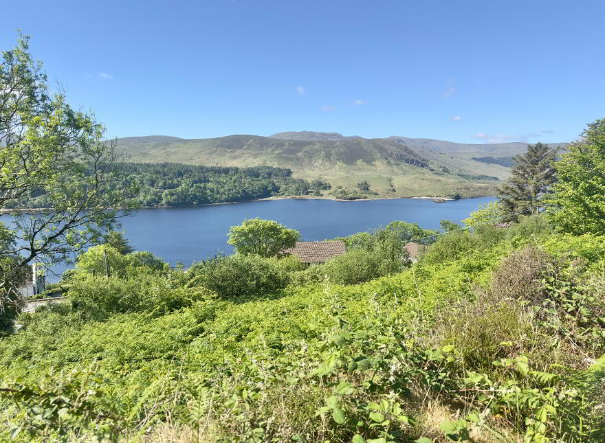 Dl10139f, Moneymore, Dunlewey