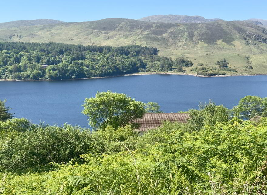Dl10139f, Moneymore, Dunlewey
